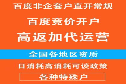 百度竞价排名实战：关键词优化与数据分析案例